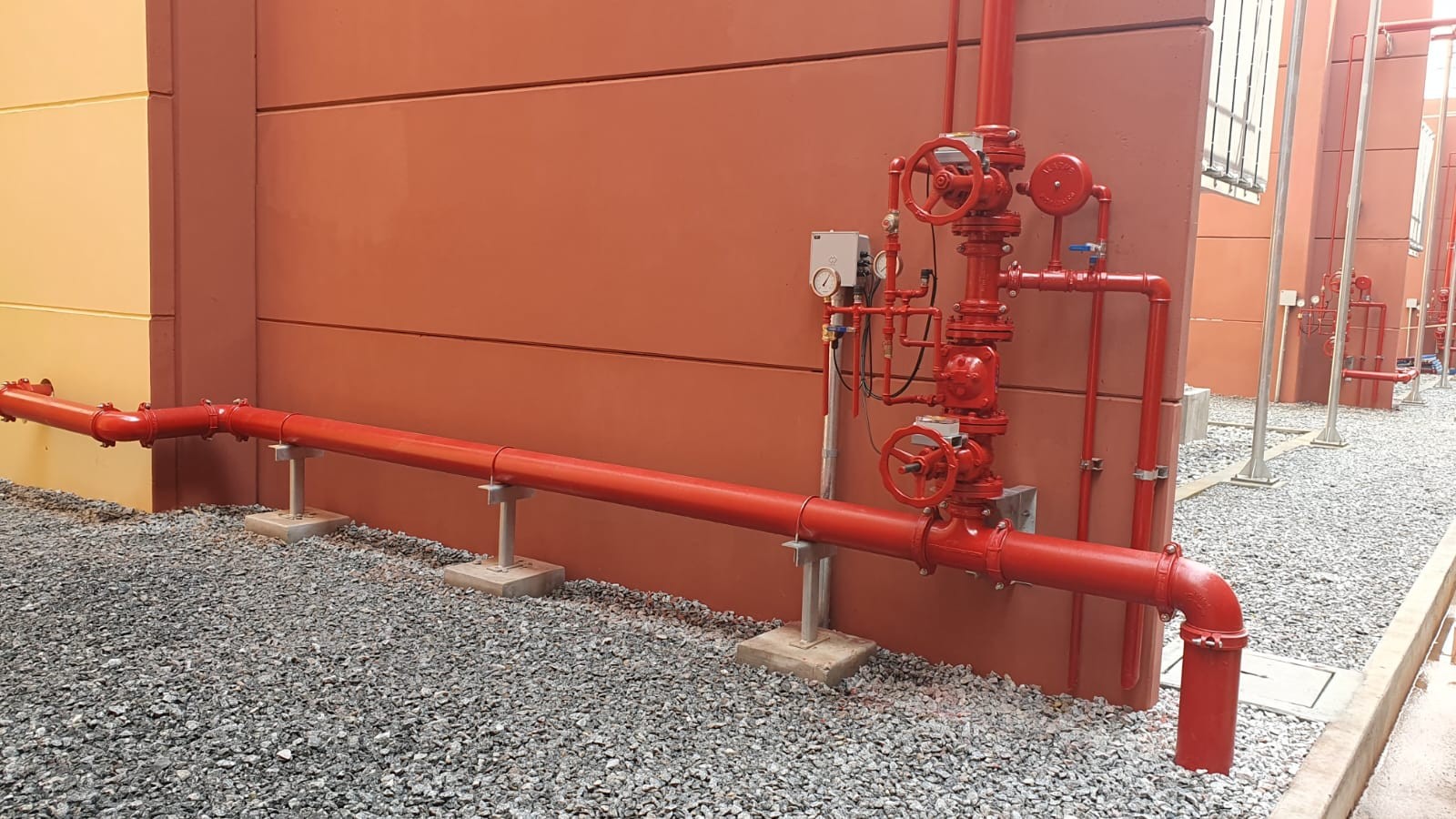 Read more about the article SE MIGUEL REALE